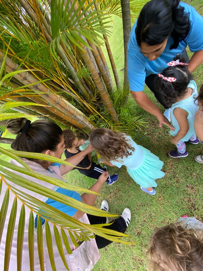 Cuidando da Natureza